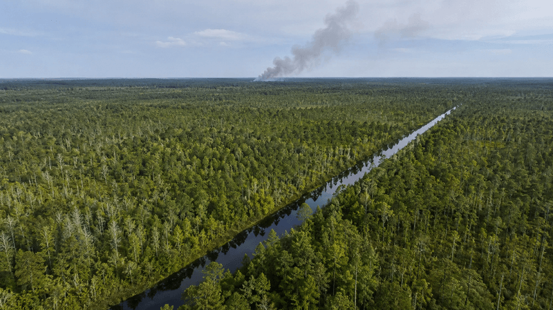 Smoke plume rising from the Great Dismal Swamp National Wildlife Refuge near Virginia Beach.