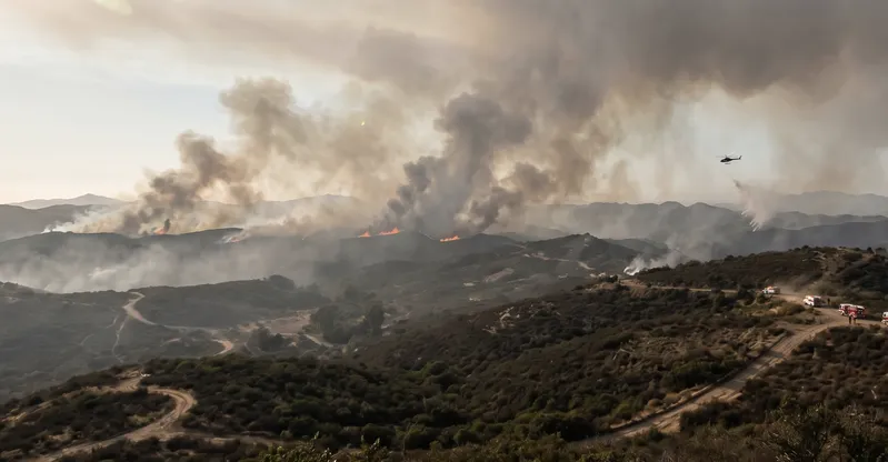 Is Your Area at Risk? Current Live Forest Wildfire and Smoke Map Today in San Diego, CA — Safety Alerts & Resources
