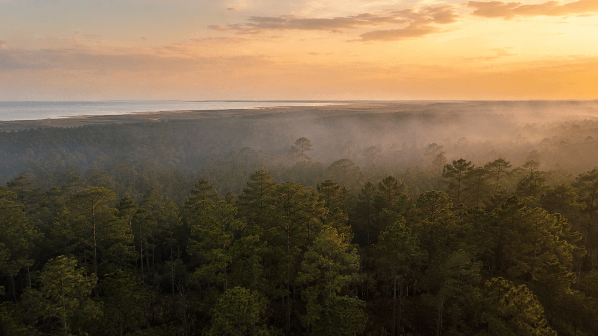 Current Live Wildfire And Smoke Map North Carolina Today From Filterbuy.com