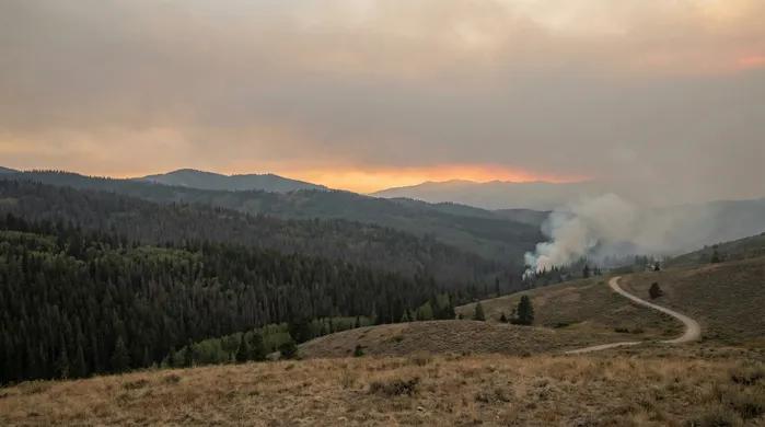 A minimalist, wide-angle landscape of the Utah wilderness under a hazy, smoke-filled sky at sunset. A thin plume of white smoke rises from a distant evergreen forest nestled in rolling hills, while a winding dirt road in the foreground leads toward the hazy mountain range.