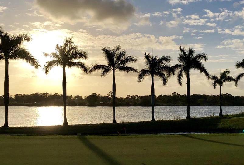 Sunset silhouettes of palm trees along a coastal waterway, representing tropical heat in southeastern metro areas