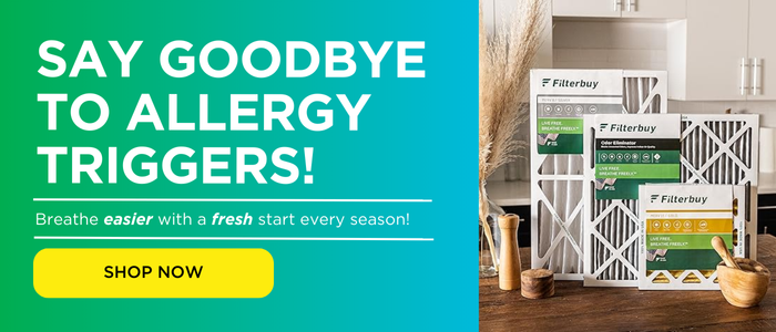 say goodbye to allergy triggers