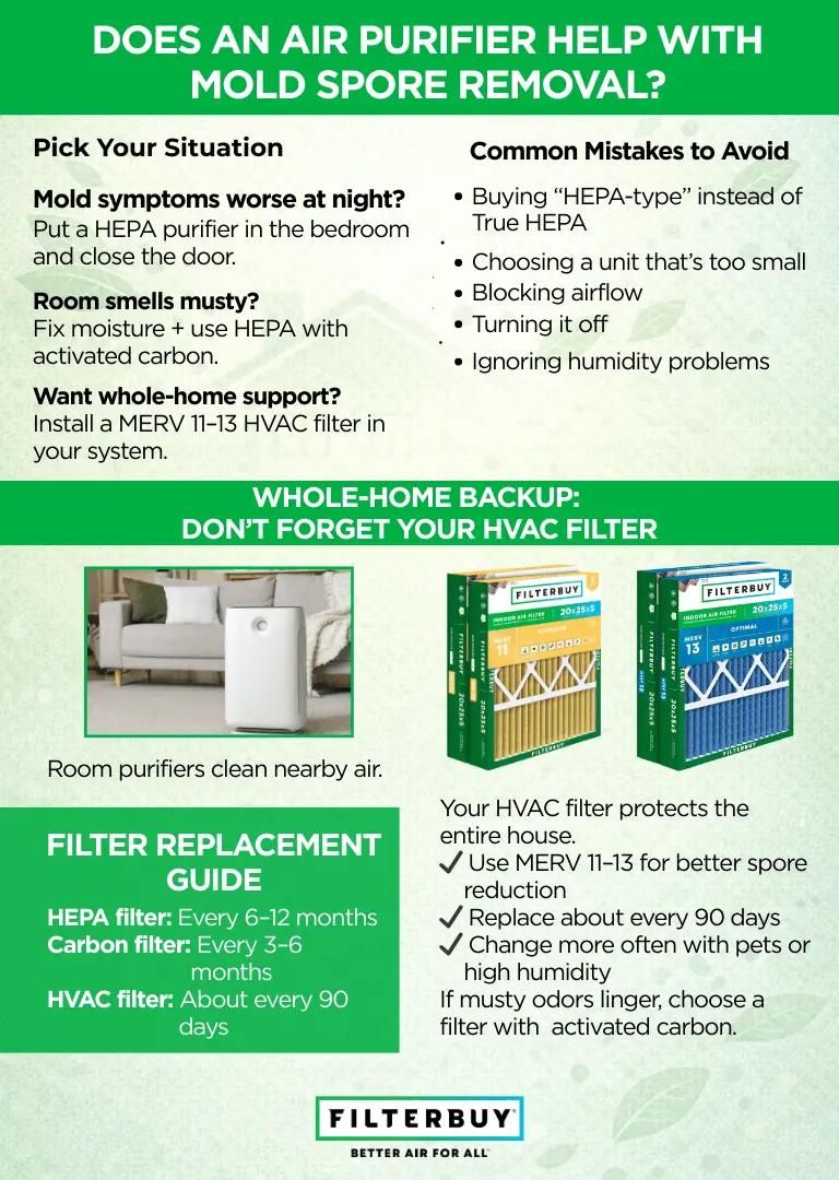 Infographic explaining how air purifiers help remove mold spores and the role of MERV 11–13 HVAC filters.