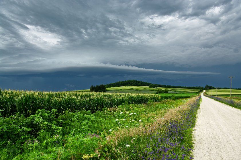 View of a rural gravel road cutting through green farmland with wildflowers, cornfields, and dark storm clouds rolling in overhead.