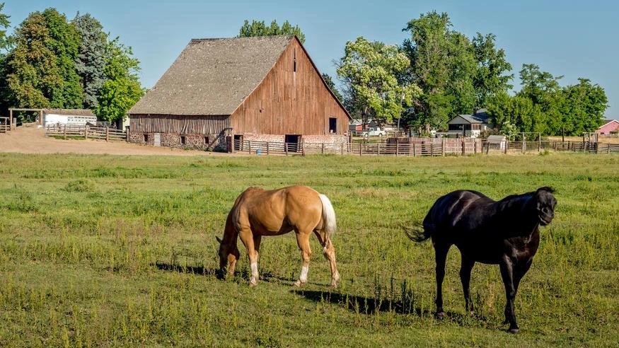 A rural farm with horses and a wooden barn illustrates how extreme heat affects agricultural areas near smaller urban clusters in the western U.S