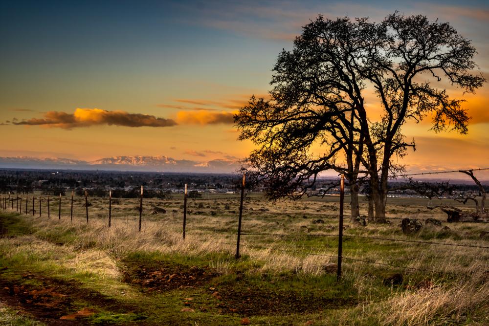 Image of Chico, CA with the city on the background showing a thick layer of smog.