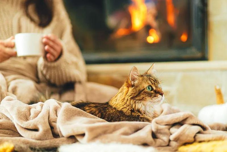 View of woman and cat relaxing by fireplace, breathing clean air free of pet allergens.