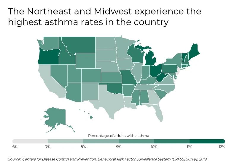 Cities with the Most Asthma Cases - Infographics of the map of the U.S. showing higher asthma rates in the Northeast and Midwest, with varying asthma rates across states from 6% to 12%.