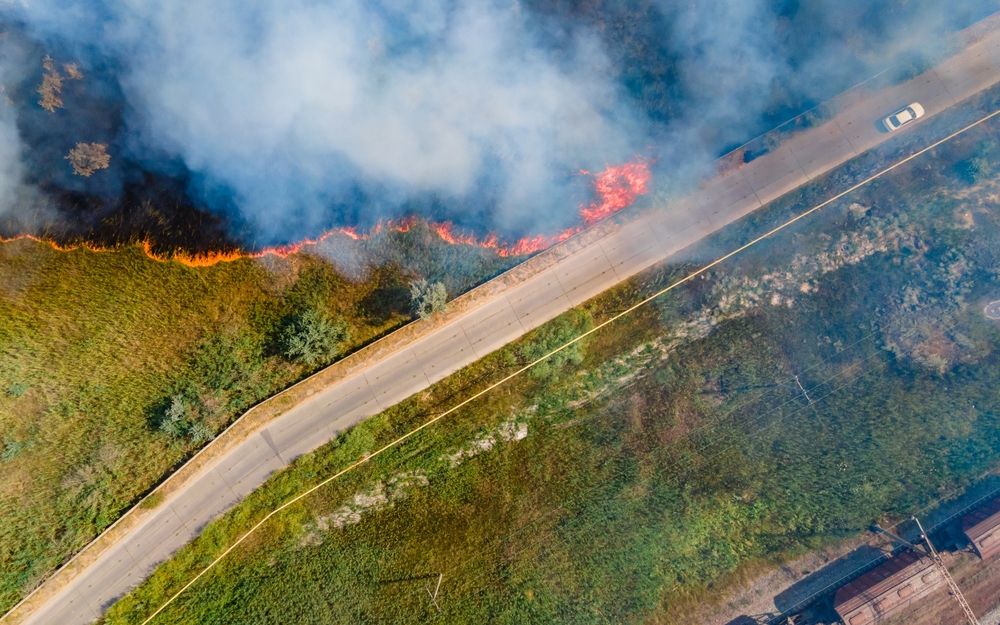 How Far Can Wildfire Smoke Travel? Air Quality Impact May Shock You