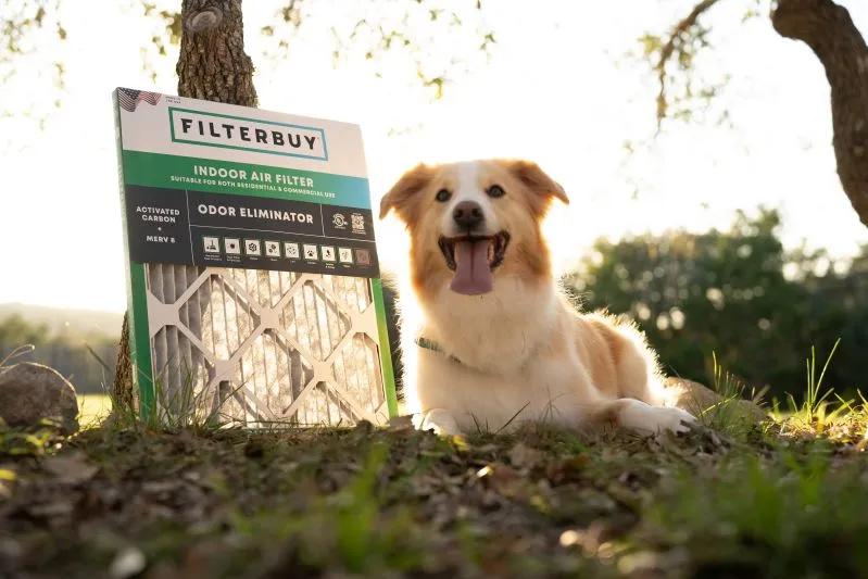 View of Filterbuy 8x16x2 indoor air filter placed outdoors beside a happy dog