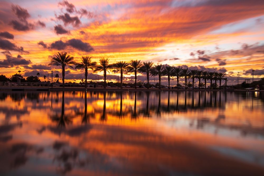 A stunning sunset with vibrant orange, purple, and pink hues reflecting on a calm body of water, framed by a row of palm trees. The scene captures the beauty of the tropical landscape at twilight.