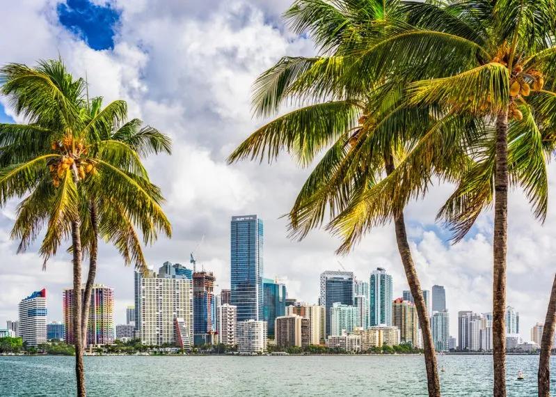 View of Miami skyline behind palm trees highlighting the city’s severe Millennial renter wage gap.