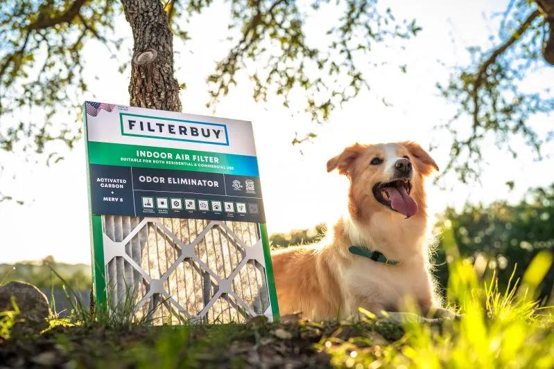 View of a Filterbuy indoor air filter with a happy dog outdoors, highlighting allergen reduction and cleaner indoor air for pet owners.