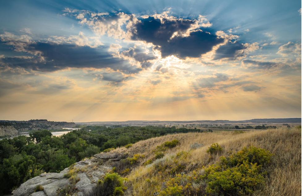 Downtown view of high-rise buildings with railway tracks and low-rise buildings in the foreground.
