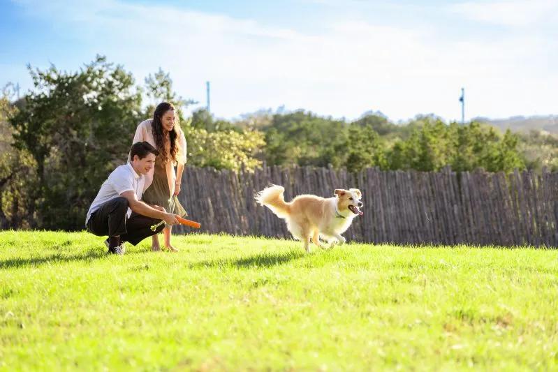 best 17x22x1 air filter for allergies - View of couple spending time outdoors with their dog