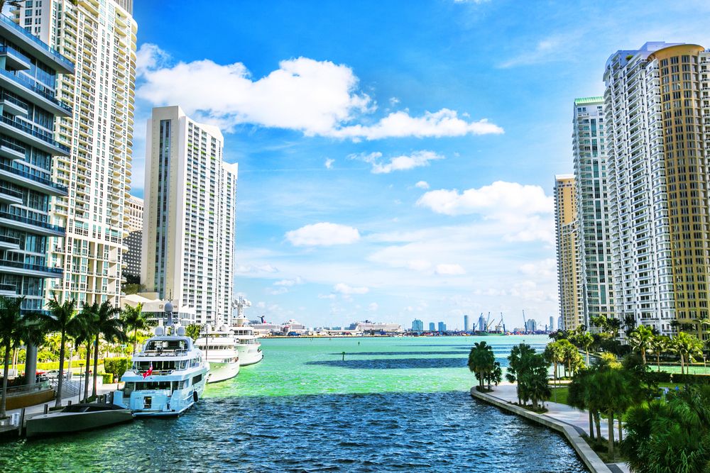 View of downtown Miami waterfront with high-rise condos, yachts, and palm trees