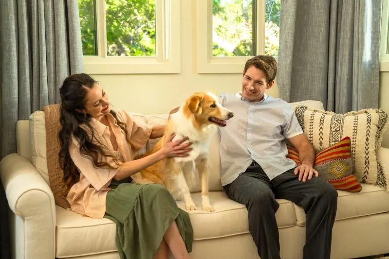 View of a happy couple sitting on a sofa with their dog in a bright, allergen-free home using a high-quality air filter