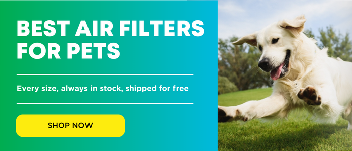  CTA banner promoting the best air filters for pets, featuring a happy dog running on grass and a “Shop Now” button.
