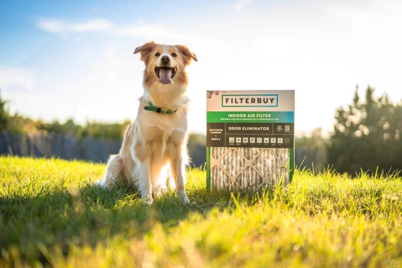 Best Home Air Purifier with HEPA Filter Replacement - Image of a dog standing next to an outdoor air filter box in a grassy field with trees in the background.