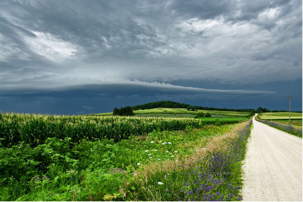 City skyline with historic buildings in the foreground and modern high-rises in the background at sunset.