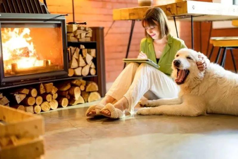 A view of a serene home interior where a woman and her dog enjoy clean, breathable air thanks to the powerful filtration of a 12x26x1 air filter for pet allergens.