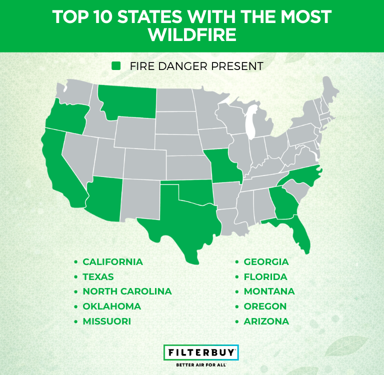 Top 10 States with the Most Wildfires