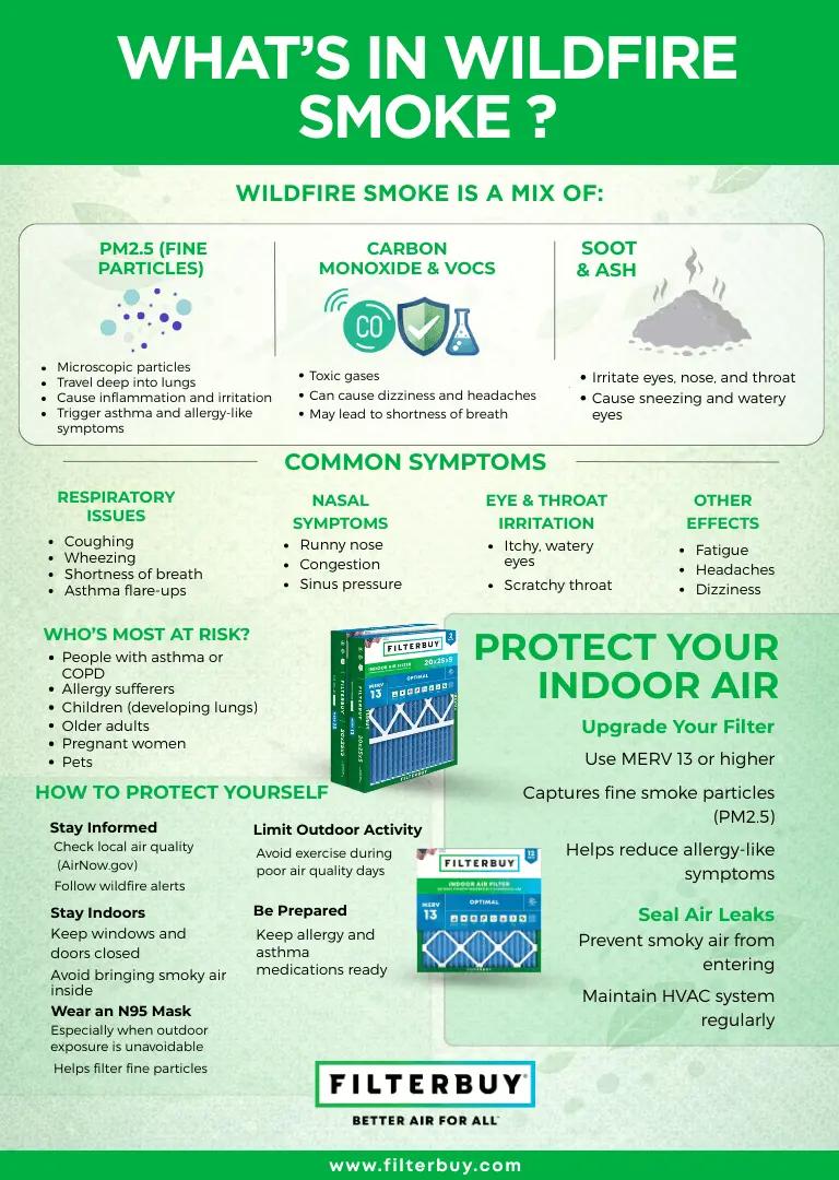 Wildfire smoke particles PM2.5 symptoms and health risks